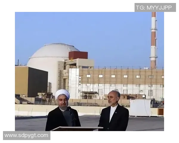 新疆石油化工产业与伊朗石油化工的竞争与合作前景分析 新疆石油化工产业与伊朗石油化工的竞争与合作前景分析