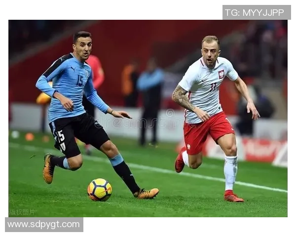 芬兰与冰岛激战正酣比赛比分揭晓引发热议 芬兰与冰岛激战正酣比赛比分揭晓引发热议