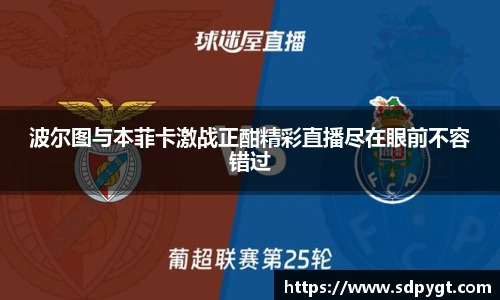 zoty中欧官方网址